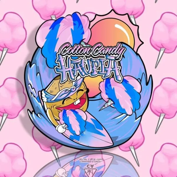 Cotton candy haupia strain Cotton Candy Haupia Strain