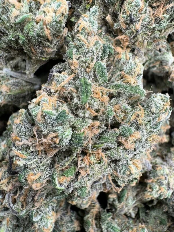 Blue Dream Strain Blue Dream Strain